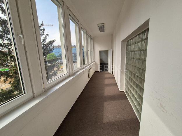 Pronájem kanceláře, Brno - Žabovřesky, Veveří, 91 m2