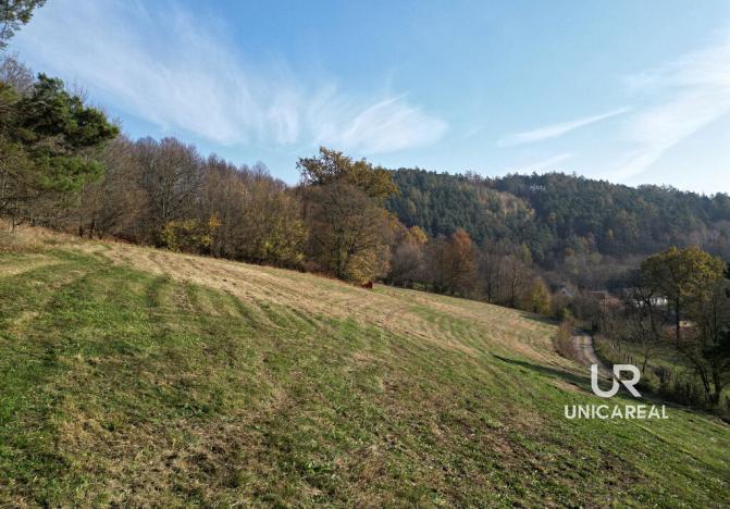 Prodej pozemku, Letovice, 2184 m2