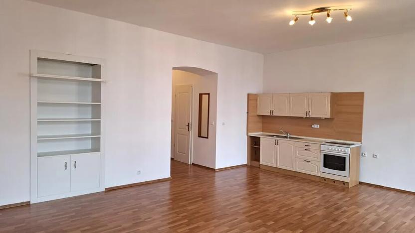 Pronájem bytu 1+kk, Plzeň, Křížkova, 45 m2