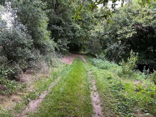 Prodej zahrady, Oslavany, 3447 m2