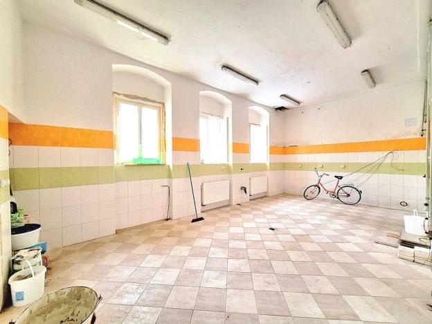 Prodej zemědělské usedlosti, Kolešov, 500 m2