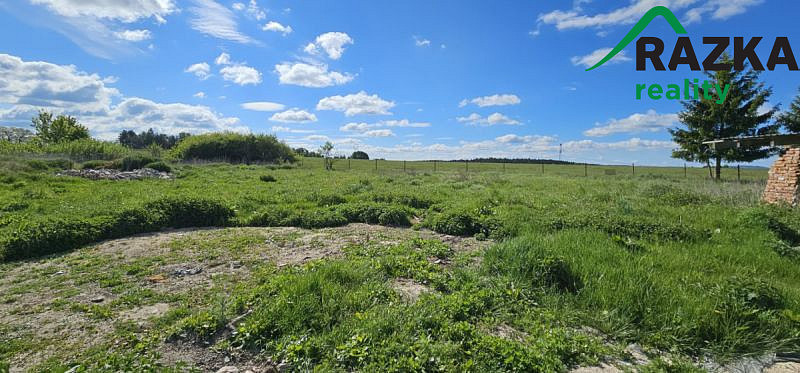 Prodej rodinného domu, Bor, 192 m2