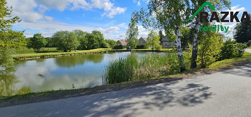 Prodej rodinného domu, Bor, 192 m2