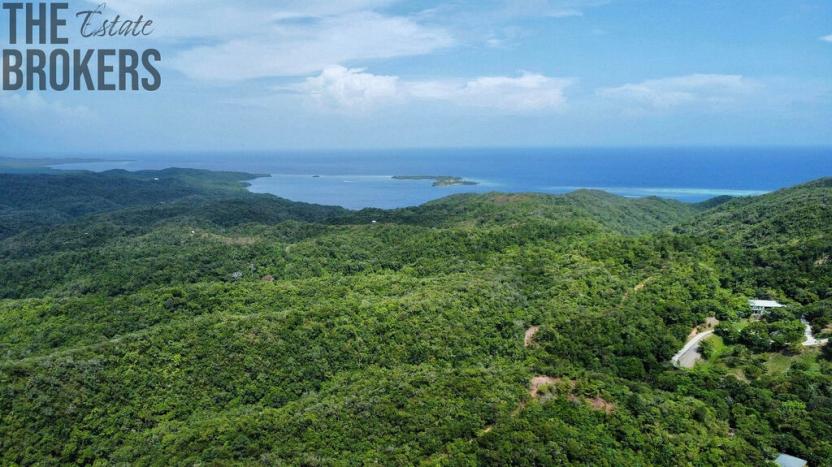 Prodej bytu 3+kk, Coxen Hole, Roatán, Honduras, 111 m2