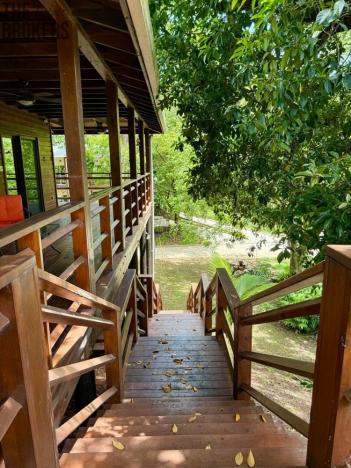 Prodej bytu 3+kk, Coxen Hole, Roatán, Honduras, 111 m2