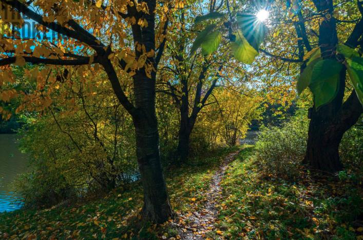 Prodej rodinného domu, Praha, U Markéty, 188 m2