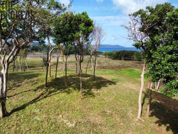 Prodej pozemku, Coxen Hole, Roatán, Honduras, 847 m2