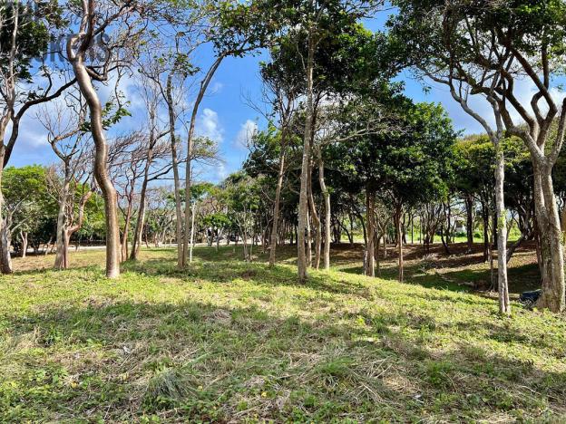 Prodej pozemku, Coxen Hole, Roatán, Honduras, 847 m2