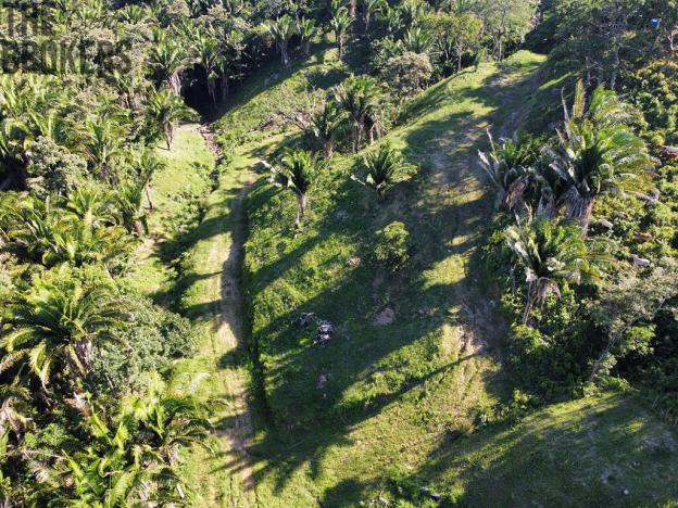 Prodej pozemku, Coxen Hole, Roatán, Honduras, 200 m2