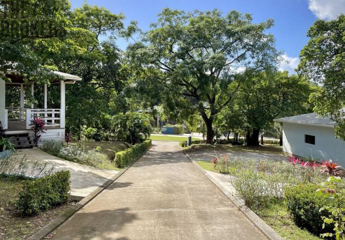 Prodej komerční, Coxen Hole, Roatán, Honduras, 304 m2