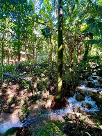 Prodej rodinného domu, La Ceiba, Honduras, 4080 m2