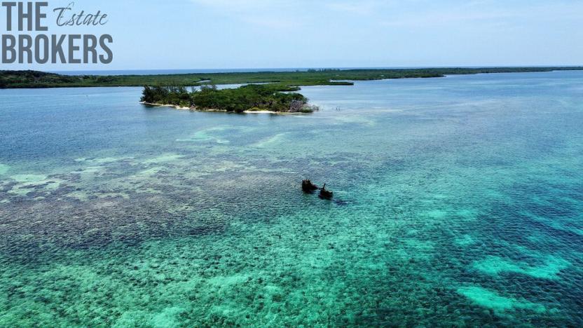 Prodej pozemku, Port Royal, José Santos Guardiola, Honduras, 161996 m2