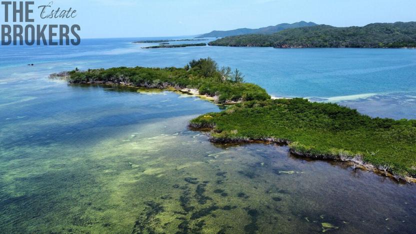 Prodej pozemku, Port Royal, José Santos Guardiola, Honduras, 161996 m2