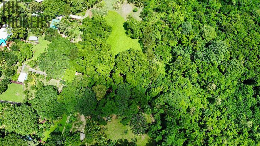 Prodej pozemku, Coxen Hole, Roatán, Honduras, 8984 m2