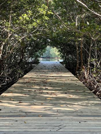 Prodej pozemku, Coxen Hole, Roatán, Honduras, 1000 m2