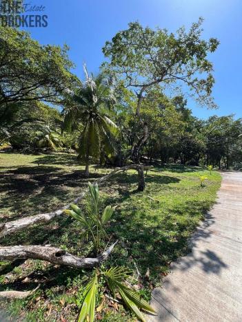 Prodej pozemku, Coxen Hole, Roatán, Honduras, 842 m2