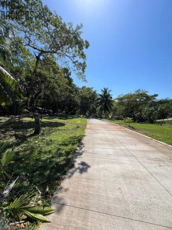 Prodej pozemku, Coxen Hole, Roatán, Honduras, 842 m2