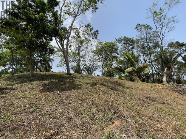 Prodej pozemku, Coxen Hole, Roatán, Honduras, 1884 m2