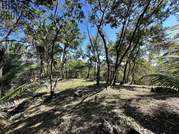 Prodej pozemku, Coxen Hole, Roatán, Honduras, 1884 m2