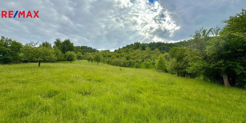 Prodej pozemku, Odry, 8311 m2