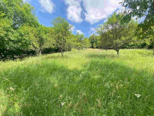 Prodej pozemku, Nedašova Lhota, 2790 m2