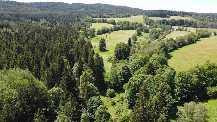 Prodej pozemku, Hartmanice, 9140 m2