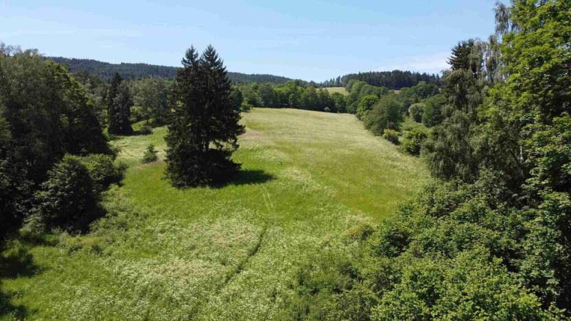 Prodej pozemku, Hartmanice, 9140 m2