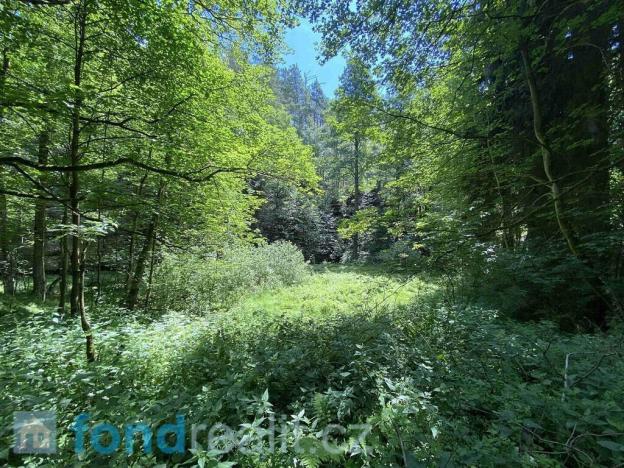 Prodej pozemku, Chřibská, 19951 m2
