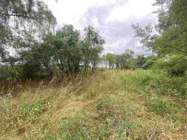 Prodej pozemku, Kladruby - Tuněchody, 2230 m2