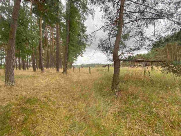 Prodej pozemku, Kladruby - Tuněchody, 2230 m2