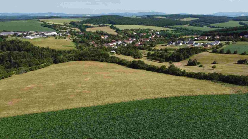 Prodej pozemku, Dobrkovice, 30944 m2