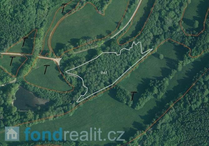 Prodej pozemku, Kájov - Křenov, 23451 m2