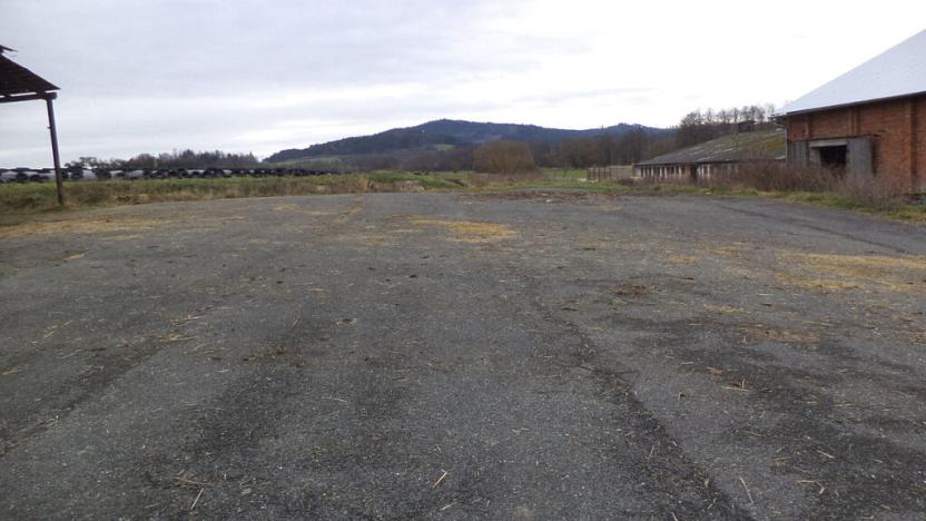 Prodej komerčního pozemku, Srby, 2298 m2