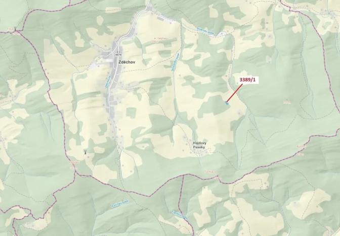 Dražba lesa, Zděchov, 1617 m2
