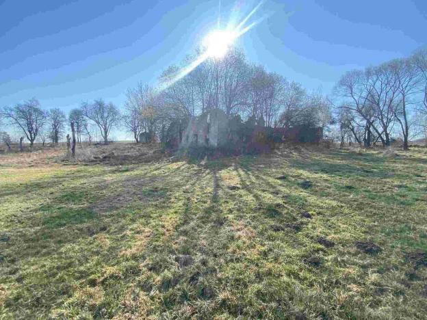 Prodej pozemku, Dolní Dvořiště - Všeměřice, 11107 m2