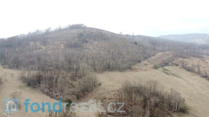 Prodej pozemku, Malečov, 23071 m2