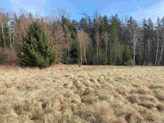 Prodej pole, Františkovy Lázně, 17923 m2