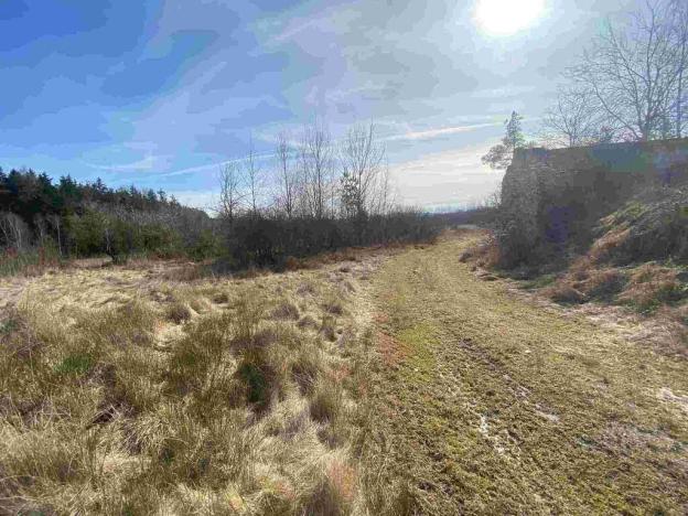 Prodej pole, Františkovy Lázně, 17923 m2