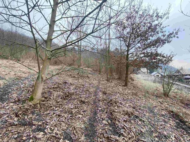 Prodej pozemku, Ryjice, 3310 m2