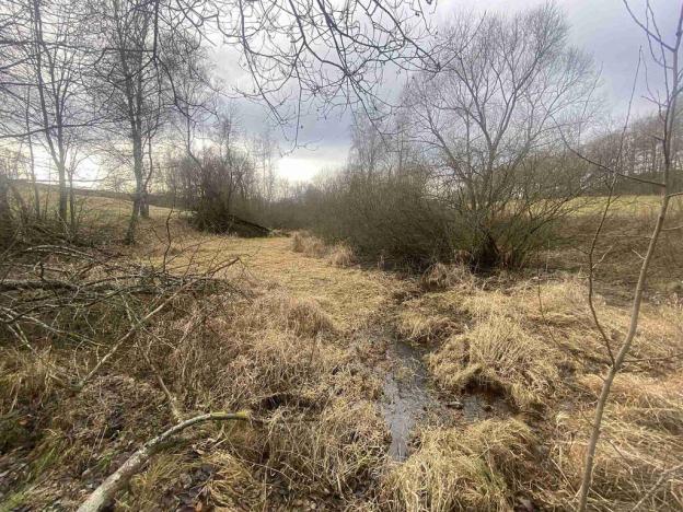 Prodej pozemku, Dolní Dvořiště - Trojany, 18915 m2