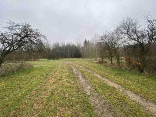 Prodej pozemku, Hosín - Dobřejovice, 10244 m2