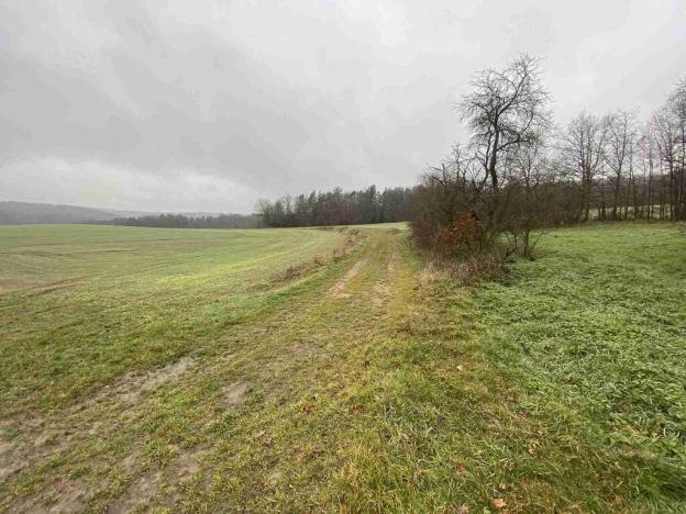 Prodej pozemku, Hosín - Dobřejovice, 10244 m2