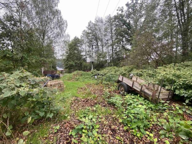 Prodej pozemku, Borovany, 1647 m2