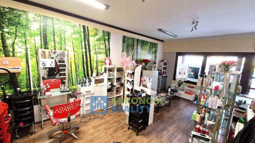 Pronájem obchodního prostoru, Trutnov - Vnitřní Město, Pražská, 46 m2