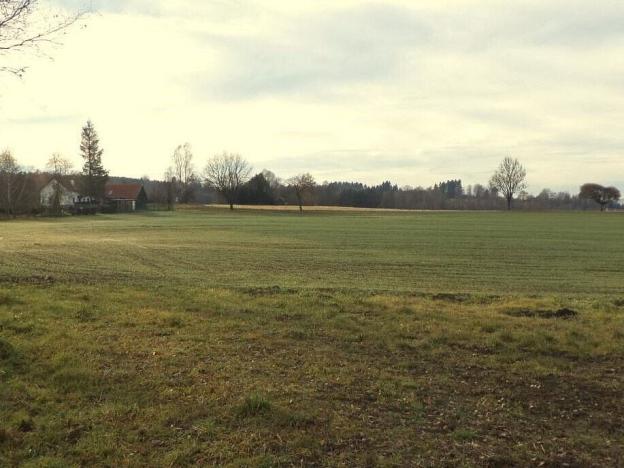 Prodej pole, Kaplice - Mostky, 9169 m2