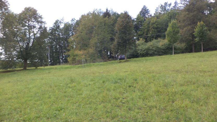 Prodej pozemku, Tachov, 27085 m2