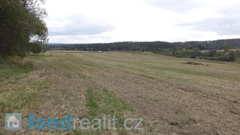 Prodej pole, Tachov, 55727 m2