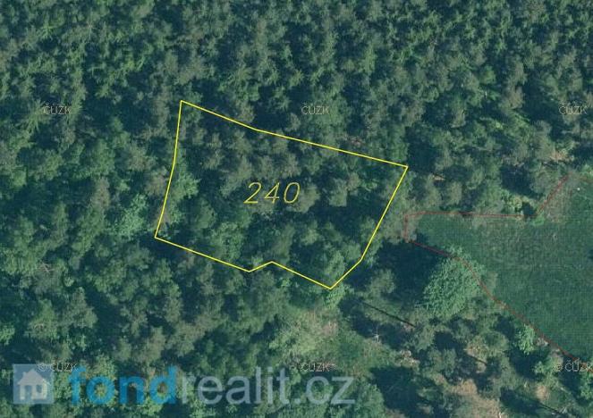 Prodej pozemku, Rejštejn, 5171 m2