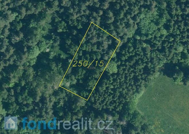 Prodej pozemku, Rejštejn, 5171 m2