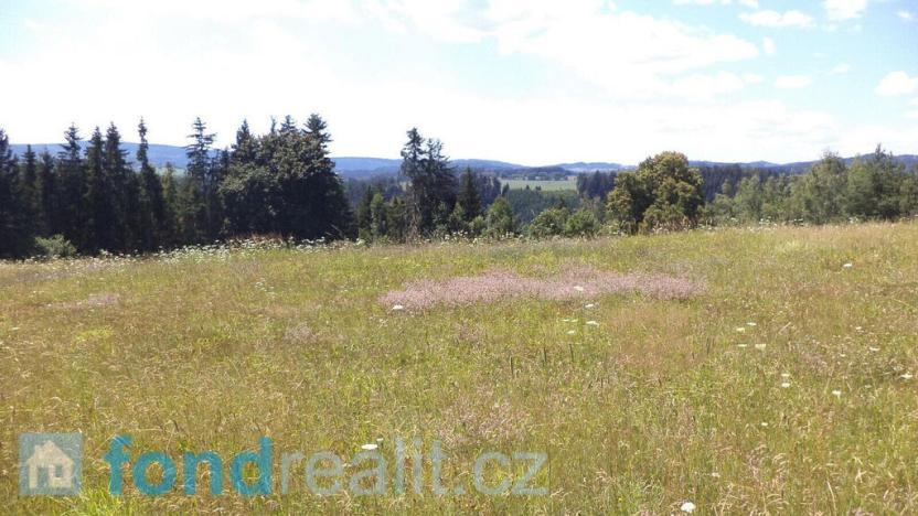 Prodej pole, Přídolí - Všeměry, 13471 m2